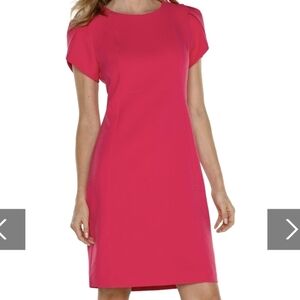 Liverpool Tulip Sleeve Sheath Dress - NWT - Size 14
